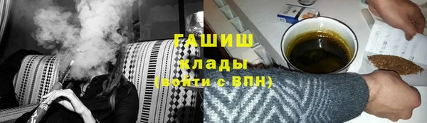 гашик Дубна