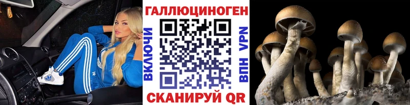 Галлюциногенные грибы мухоморы  блэк спрут ссылка  Ивантеевка 